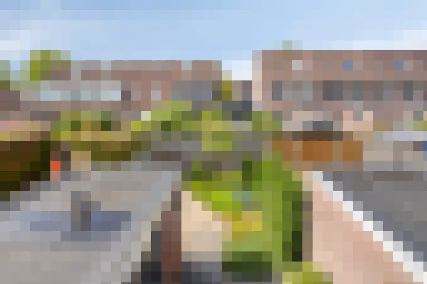 Boterbloem 15 Borne thumbnail 25