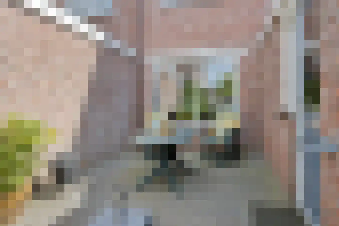 Boterbloem 15 Borne thumbnail 29
