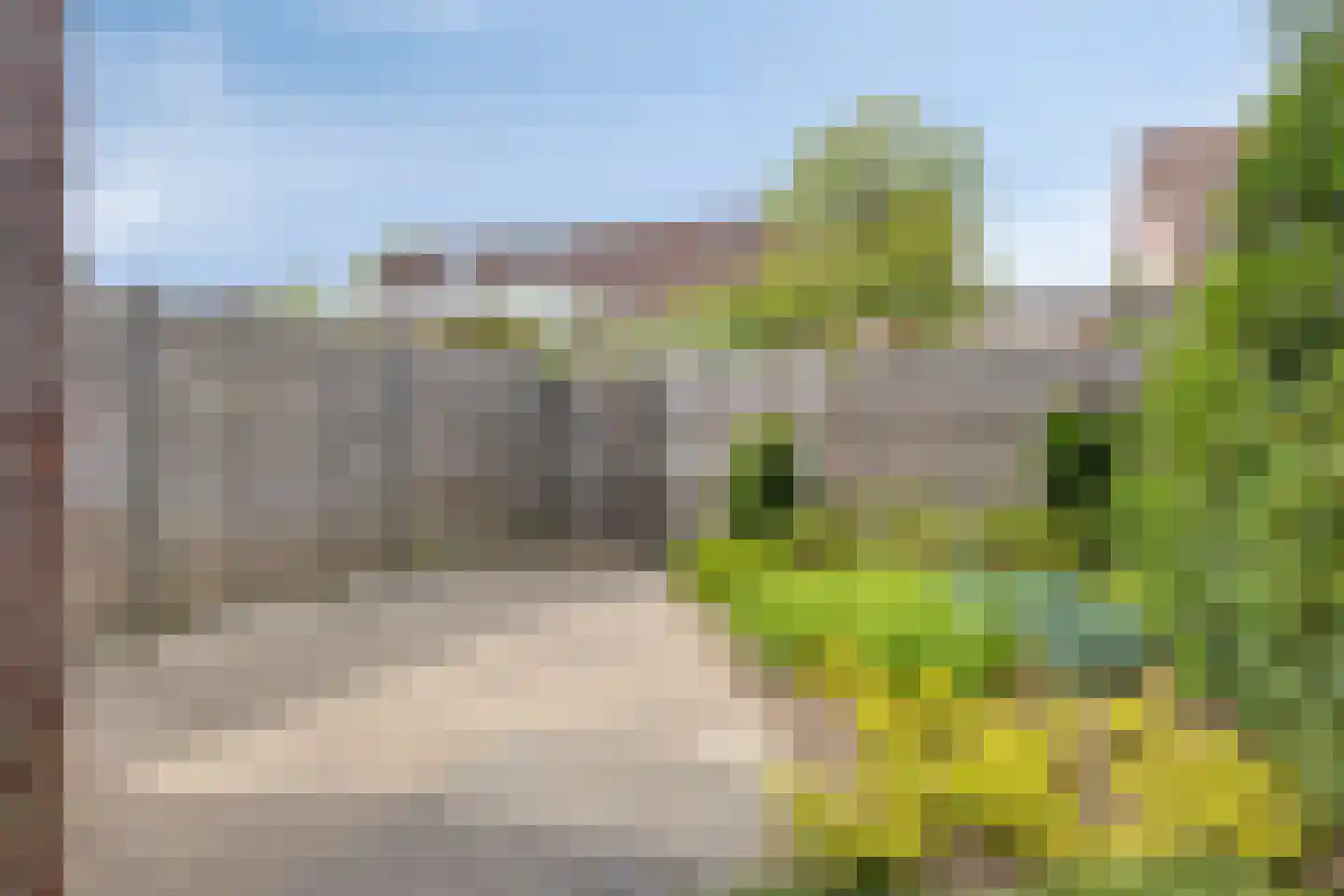 Boterbloem 15 Borne thumbnail 30