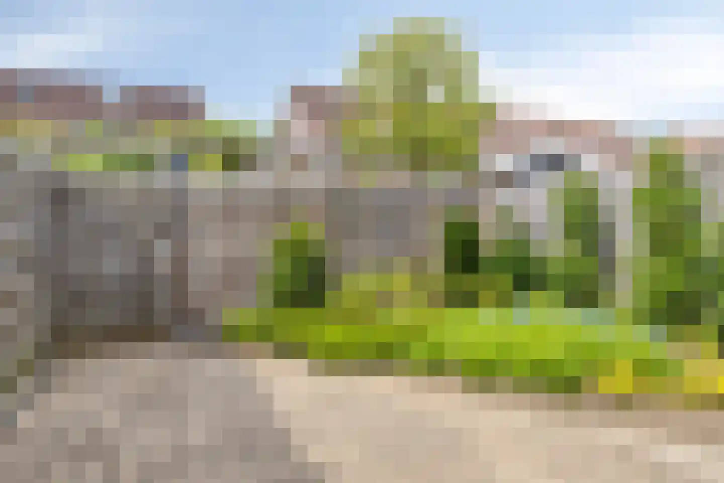 Boterbloem 15 Borne thumbnail 31