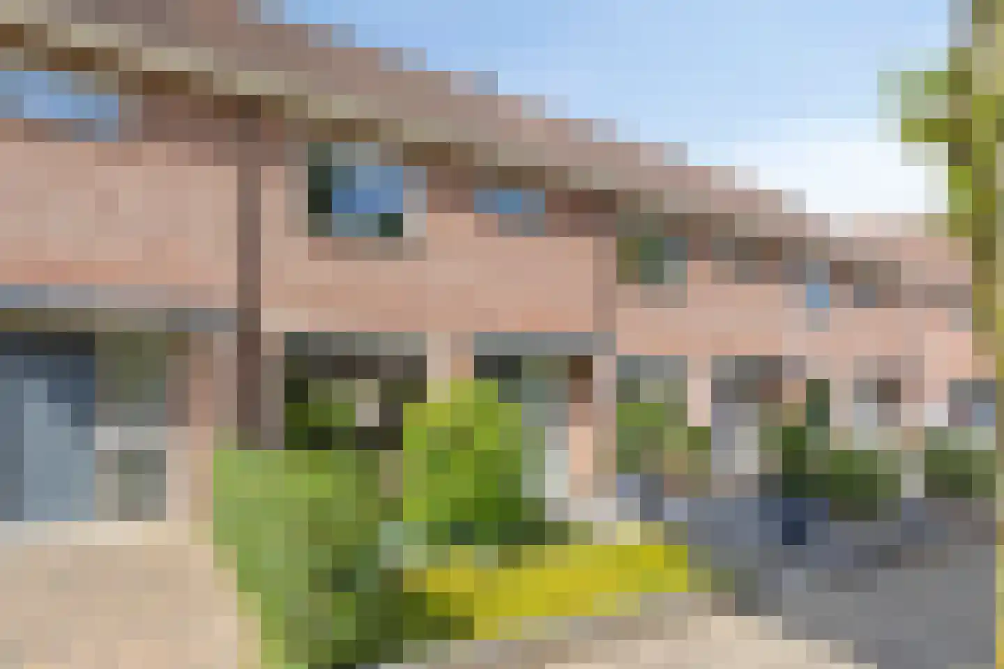 Boterbloem 15 Borne thumbnail 34