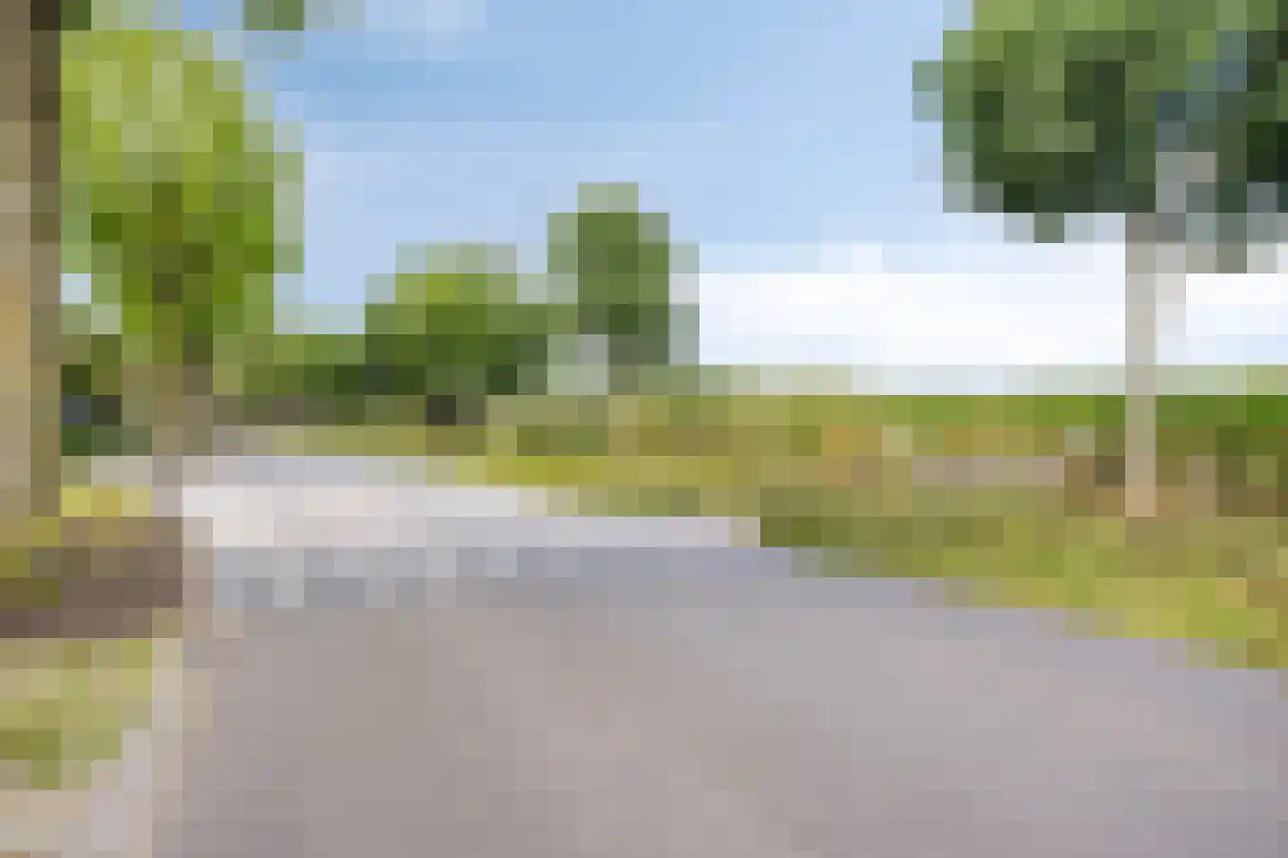 Boterbloem 15 Borne thumbnail 35