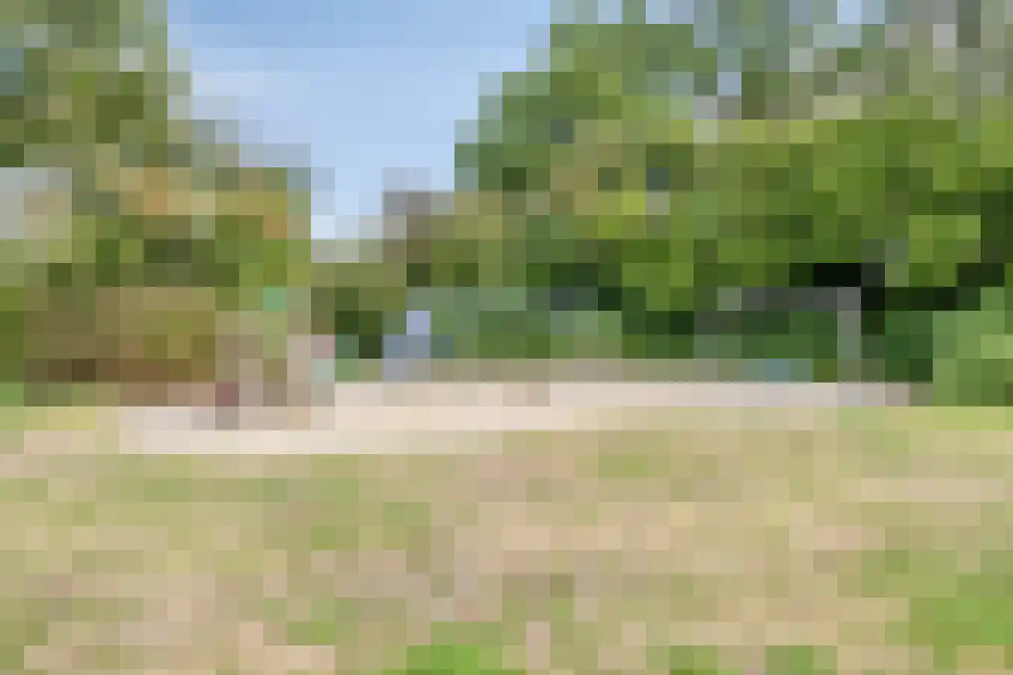 Boterbloem 15 Borne thumbnail 36