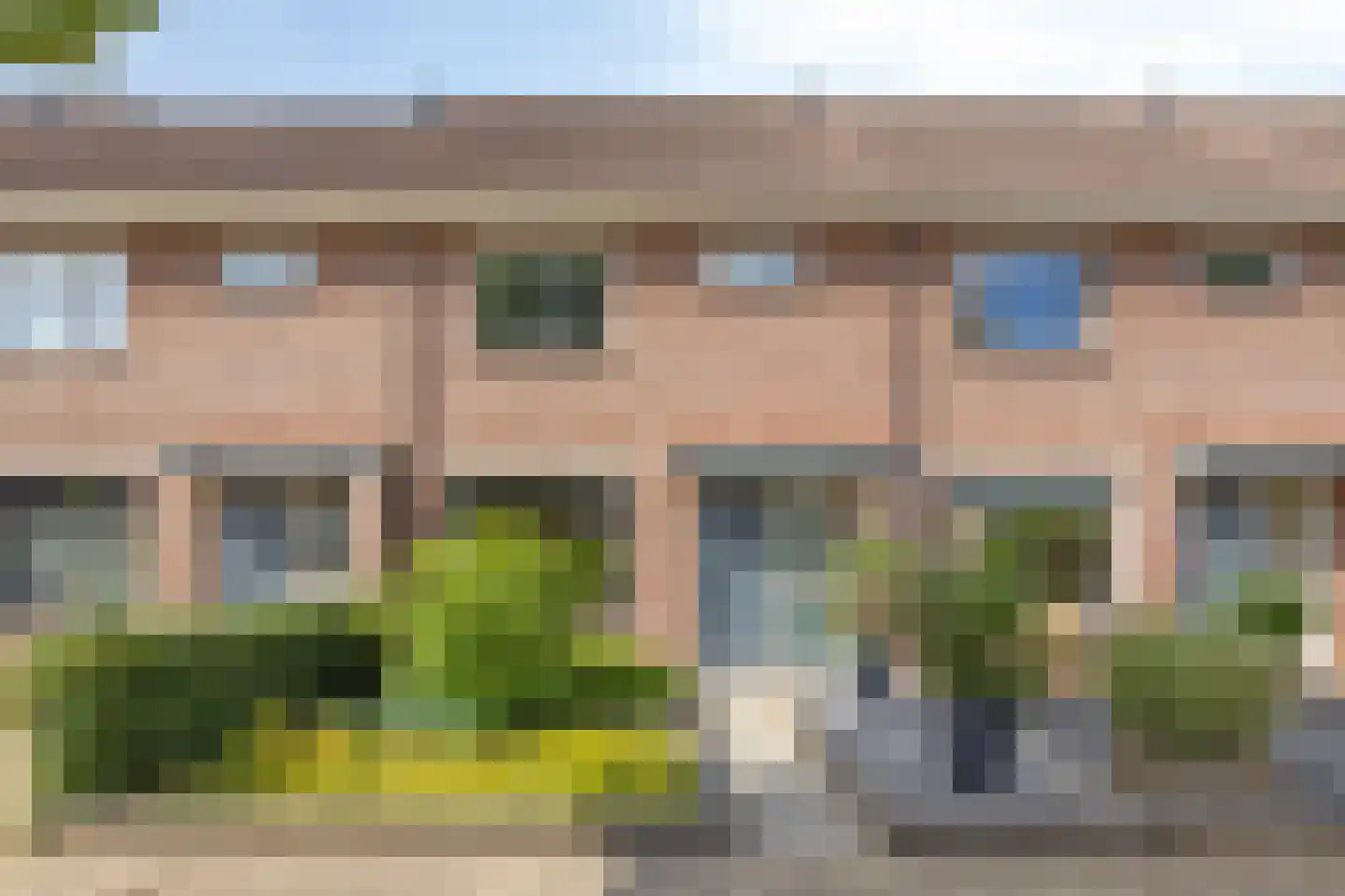 Boterbloem 15 Borne thumbnail 6