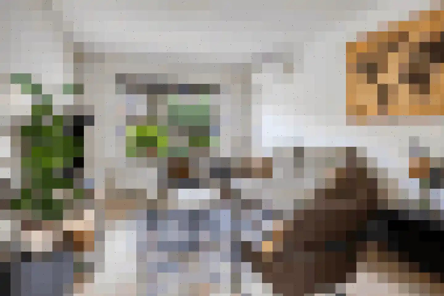 Boterbloem 15 Borne thumbnail 8