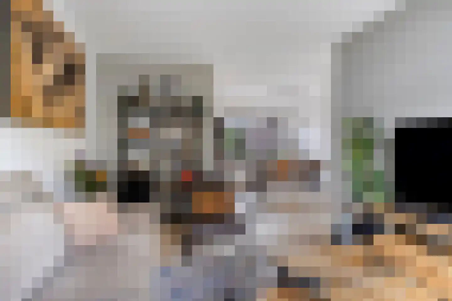 Boterbloem 15 Borne thumbnail 9