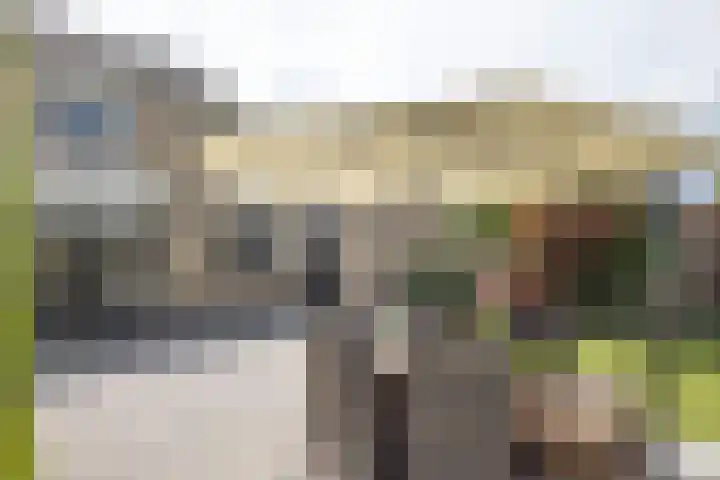Boterbloem 16 Haaksbergen thumbnail 32