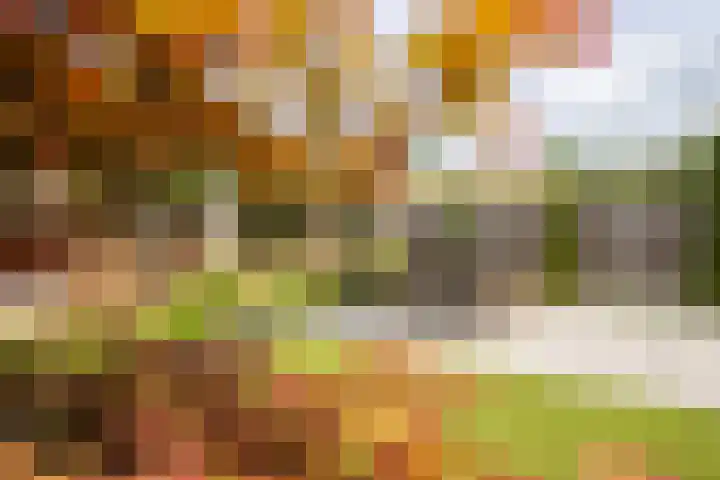 Boterbloem 16 Haaksbergen thumbnail 33