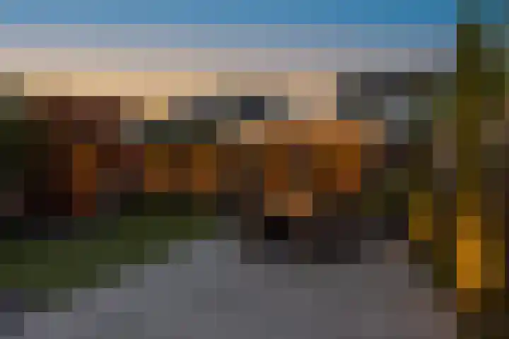 Boterbloem 16 Haaksbergen thumbnail 34