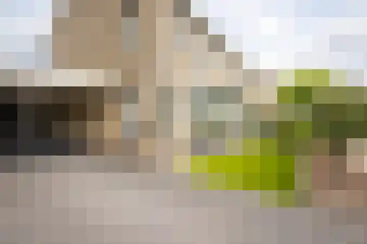 Boterbloem 16 Haaksbergen thumbnail 37
