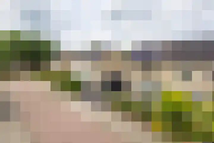 Boterbloem 16 Haaksbergen thumbnail 4