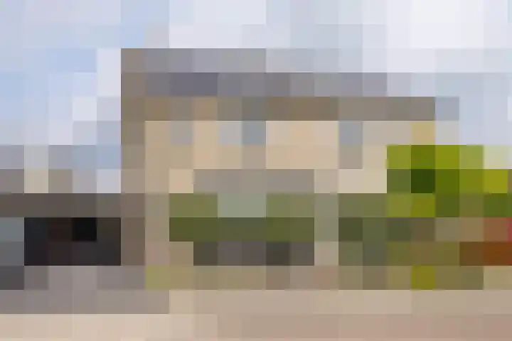 Boterbloem 16 Haaksbergen thumbnail 5