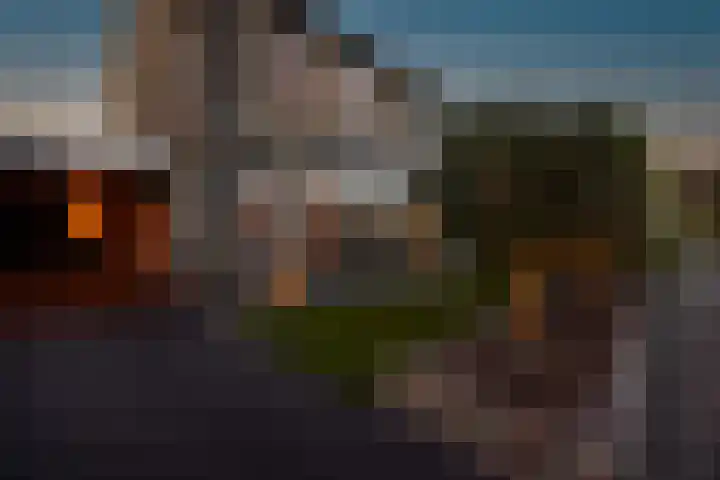 Boterbloem 16 Haaksbergen thumbnail 6