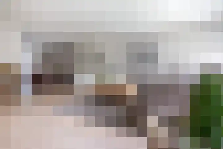Boterbloem 16 Haaksbergen thumbnail 8