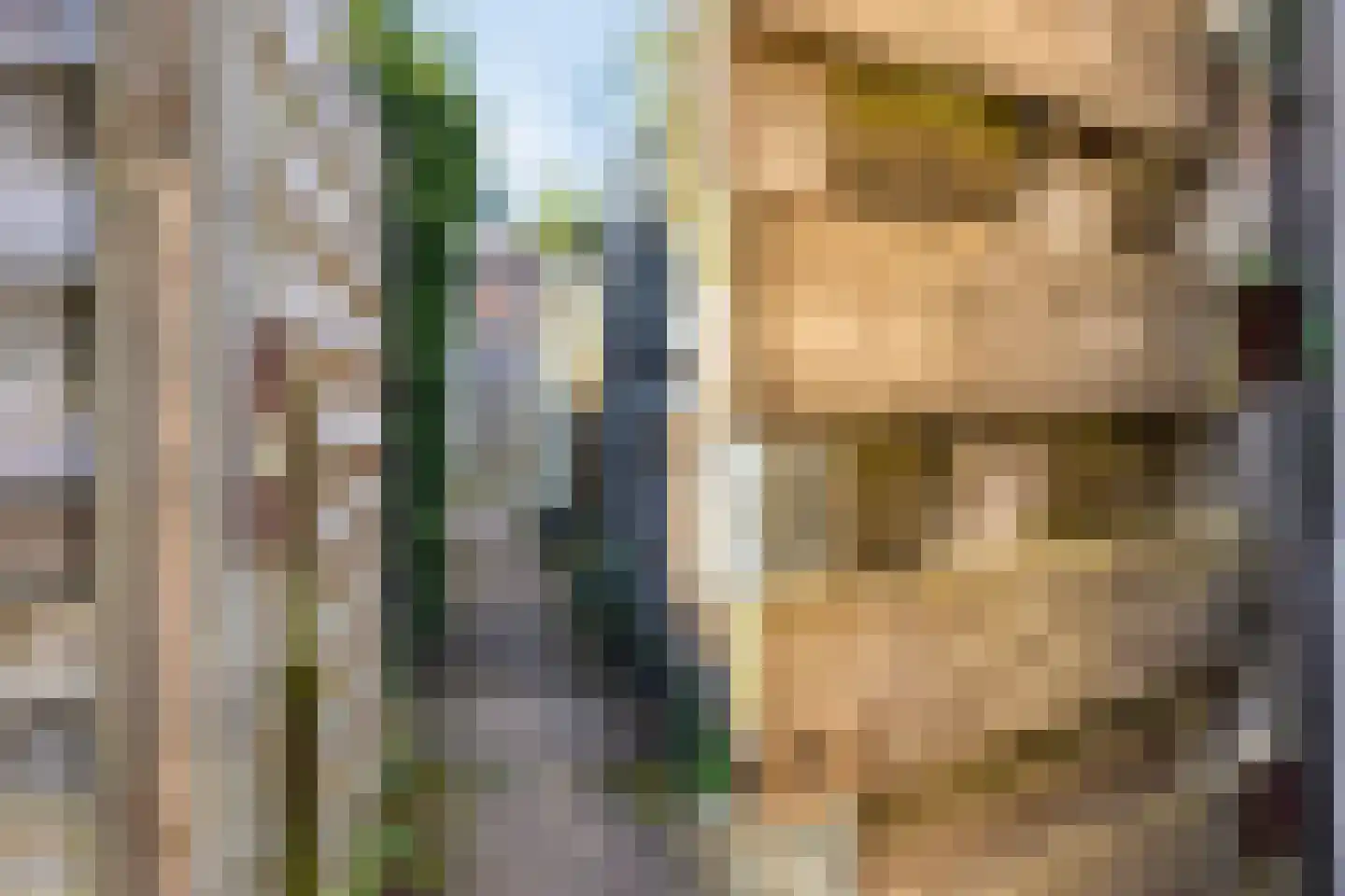 Boterbloem 17 Borne thumbnail 24