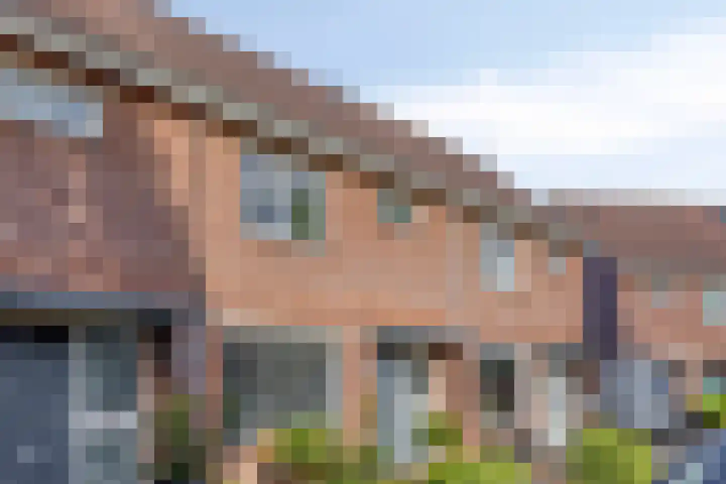 Boterbloem 17 Borne thumbnail 25