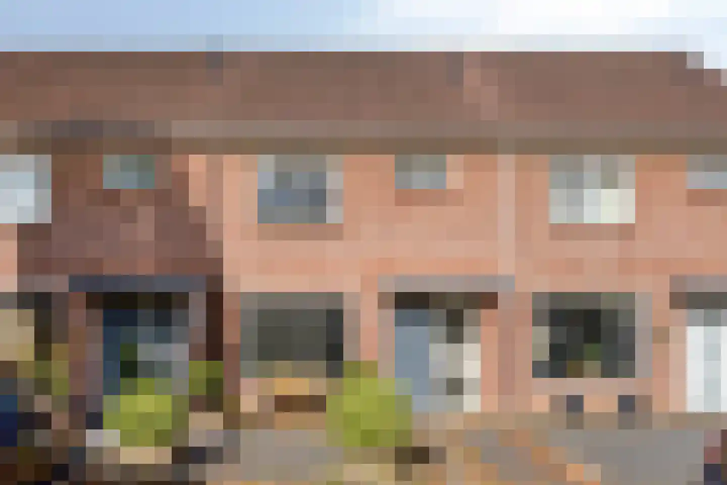 Boterbloem 17 Borne thumbnail 5