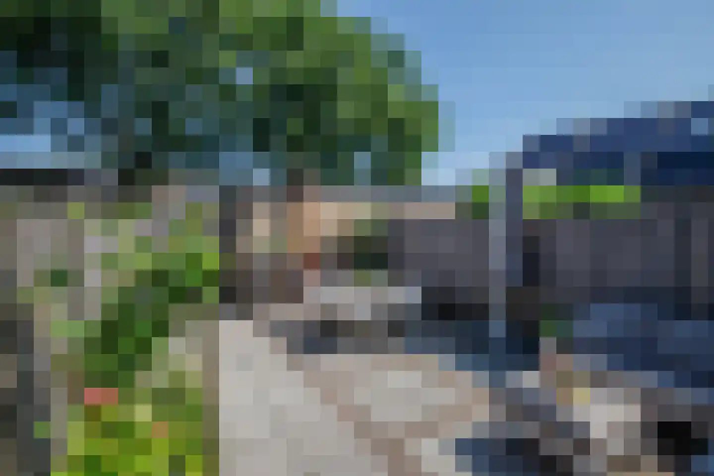 Boterbloem 18 Bergambacht thumbnail 37