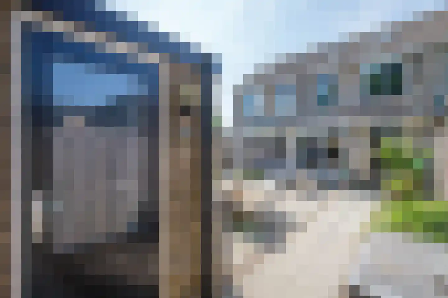 Boterbloem 18 Bergambacht thumbnail 39