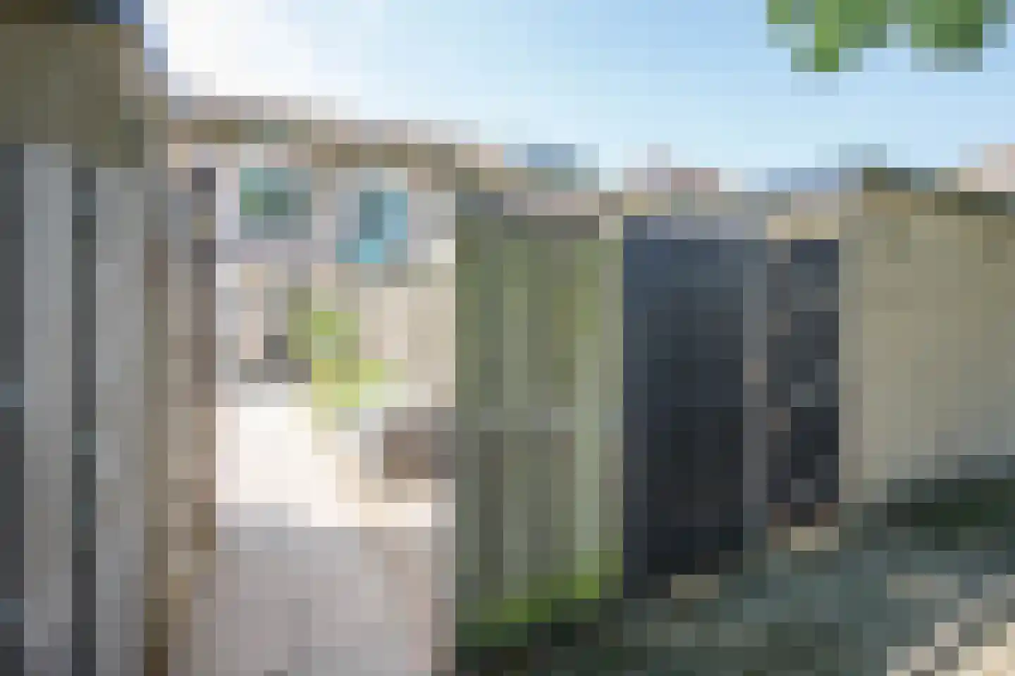 Boterbloem 18 Bergambacht thumbnail 40