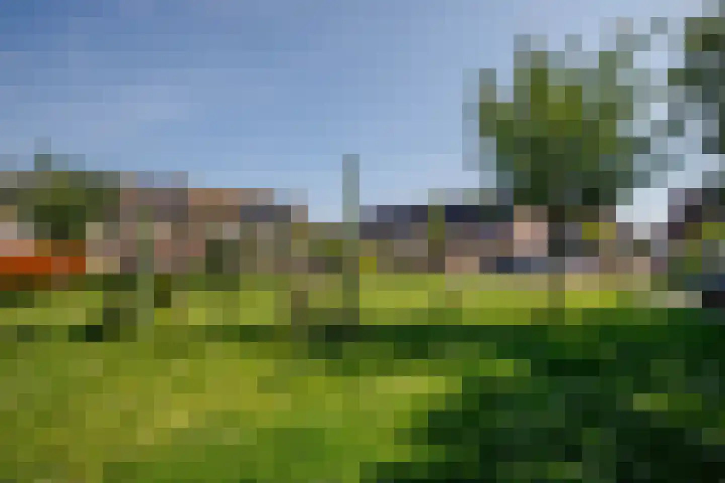 Boterbloem 18 Bergambacht thumbnail 43
