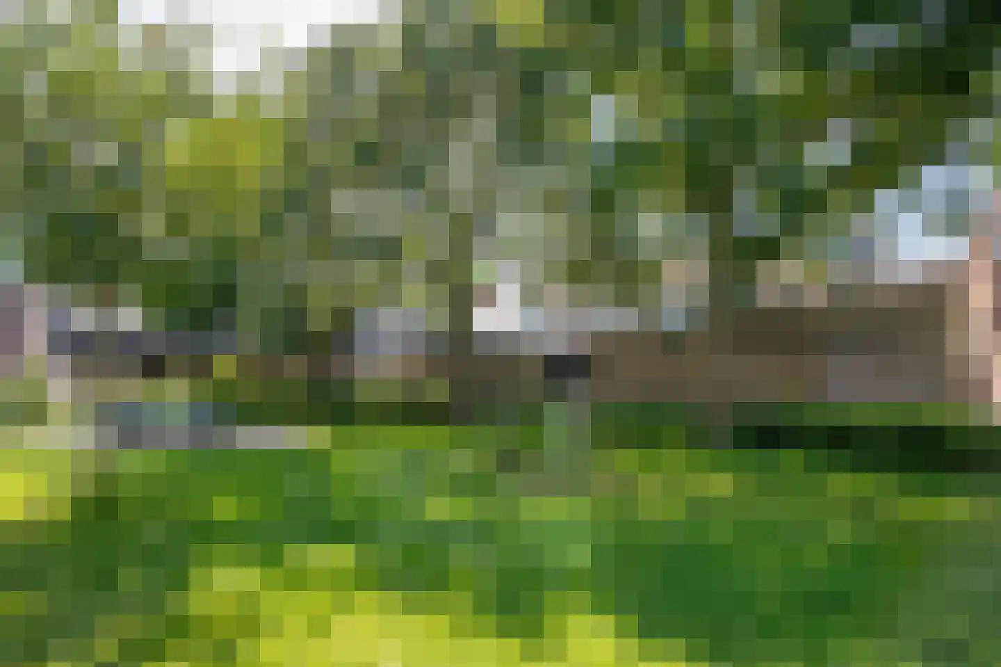 Boterbloem 18 Bergambacht thumbnail 44