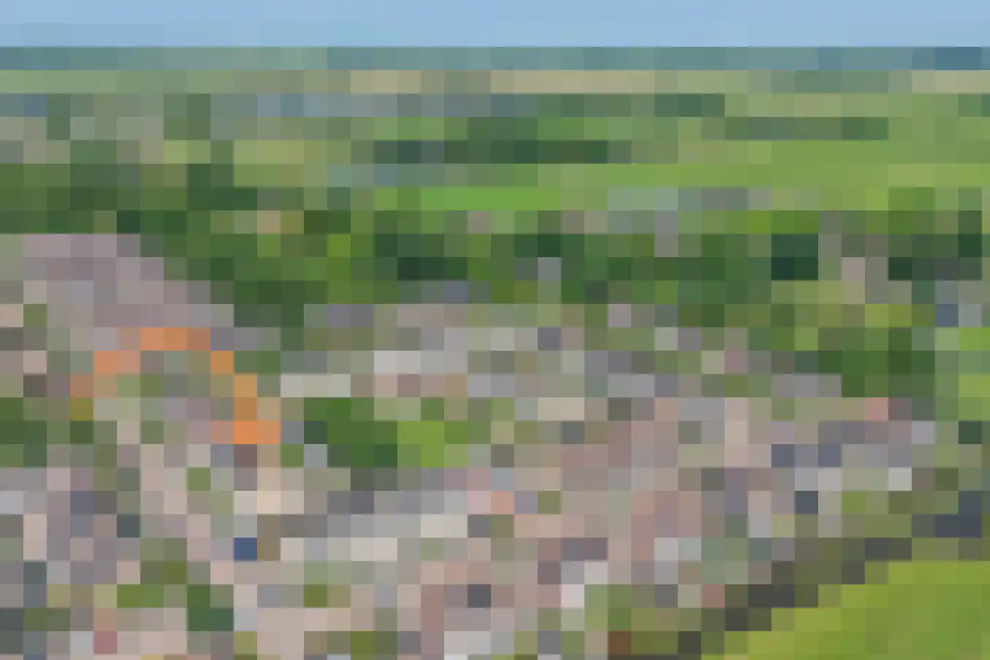 Boterbloem 18 Bergambacht thumbnail 46