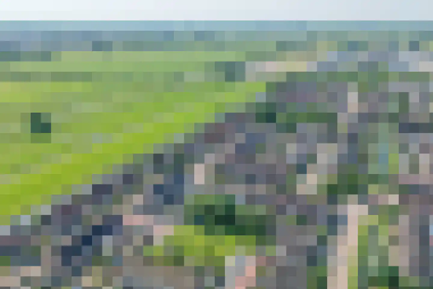Boterbloem 18 Bergambacht thumbnail 47