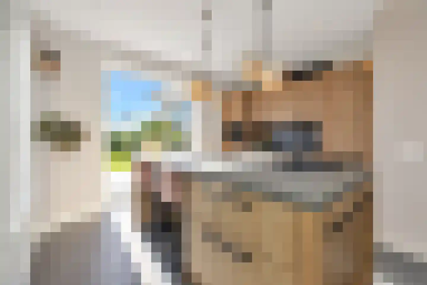 Boterbloem 2 't Veld thumbnail 11