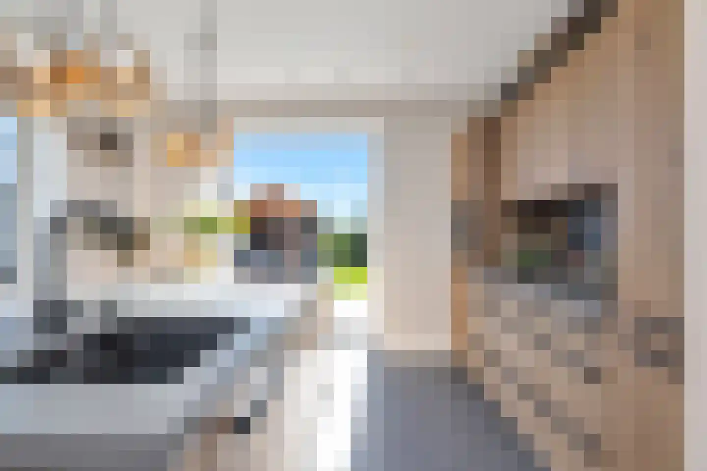 Boterbloem 2 't Veld thumbnail 12