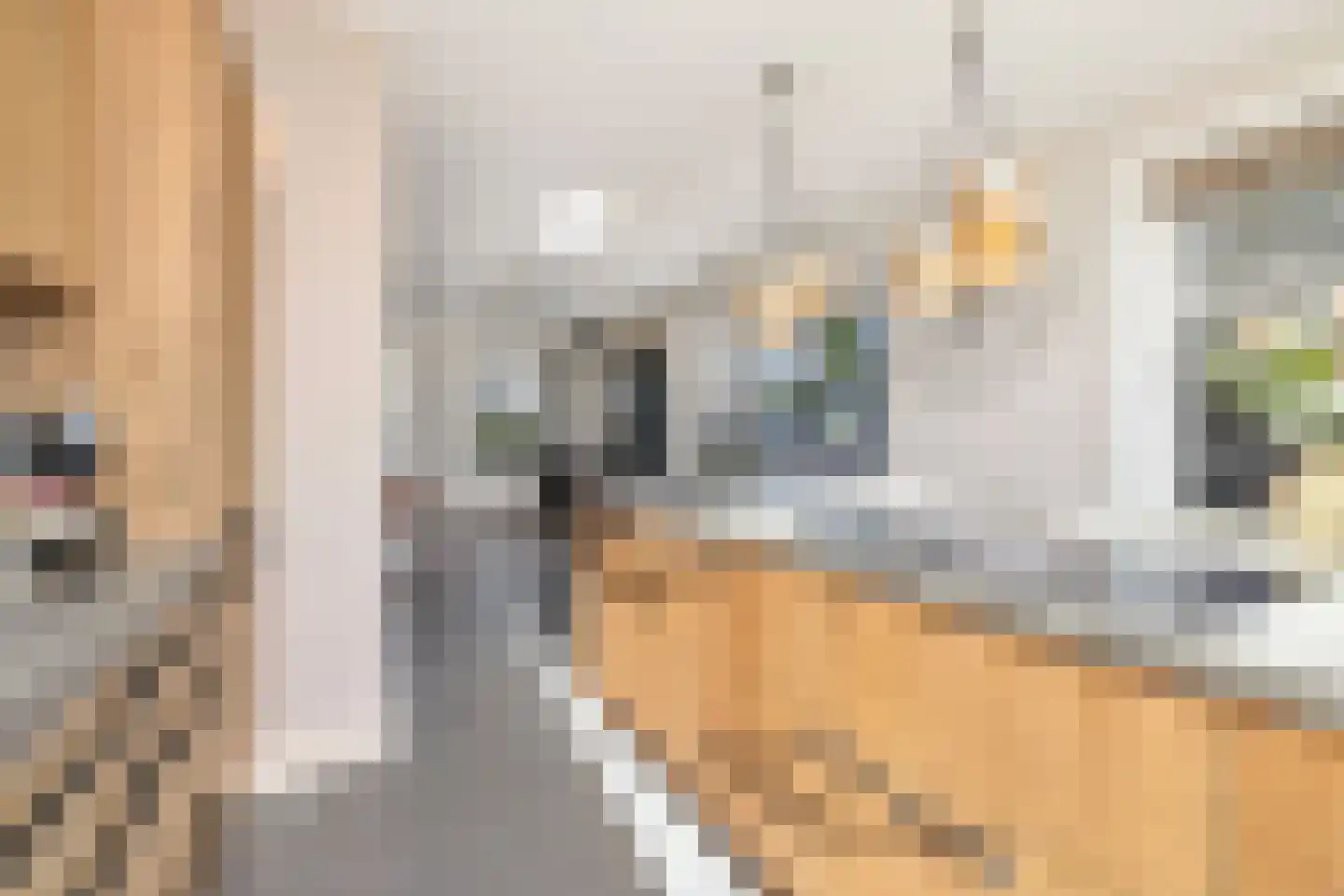 Boterbloem 2 't Veld thumbnail 14