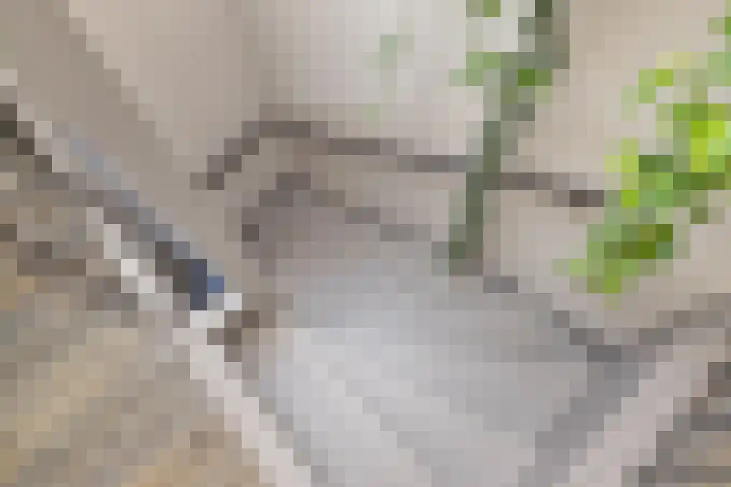 Boterbloem 2 't Veld thumbnail 23