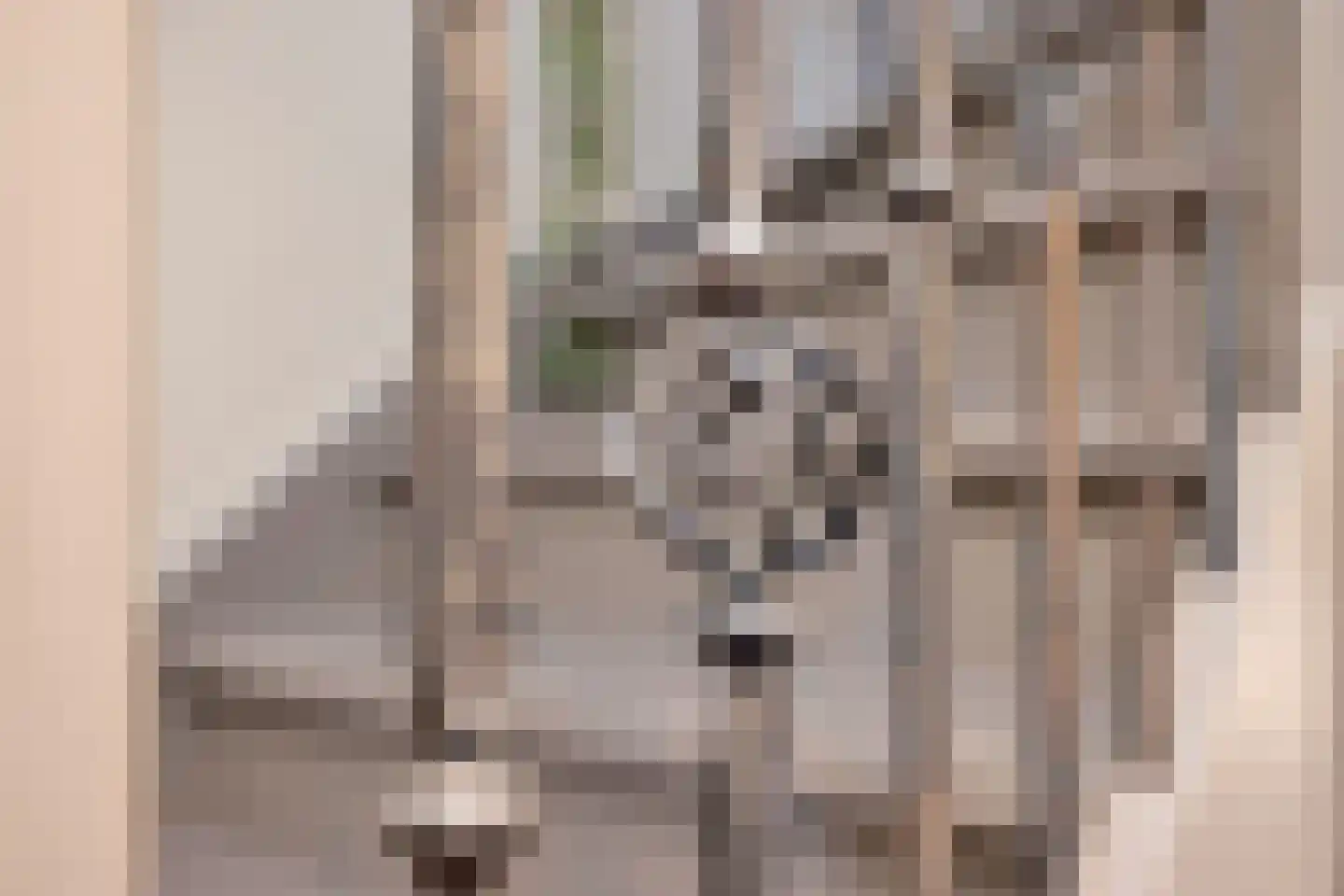 Boterbloem 2 't Veld thumbnail 24