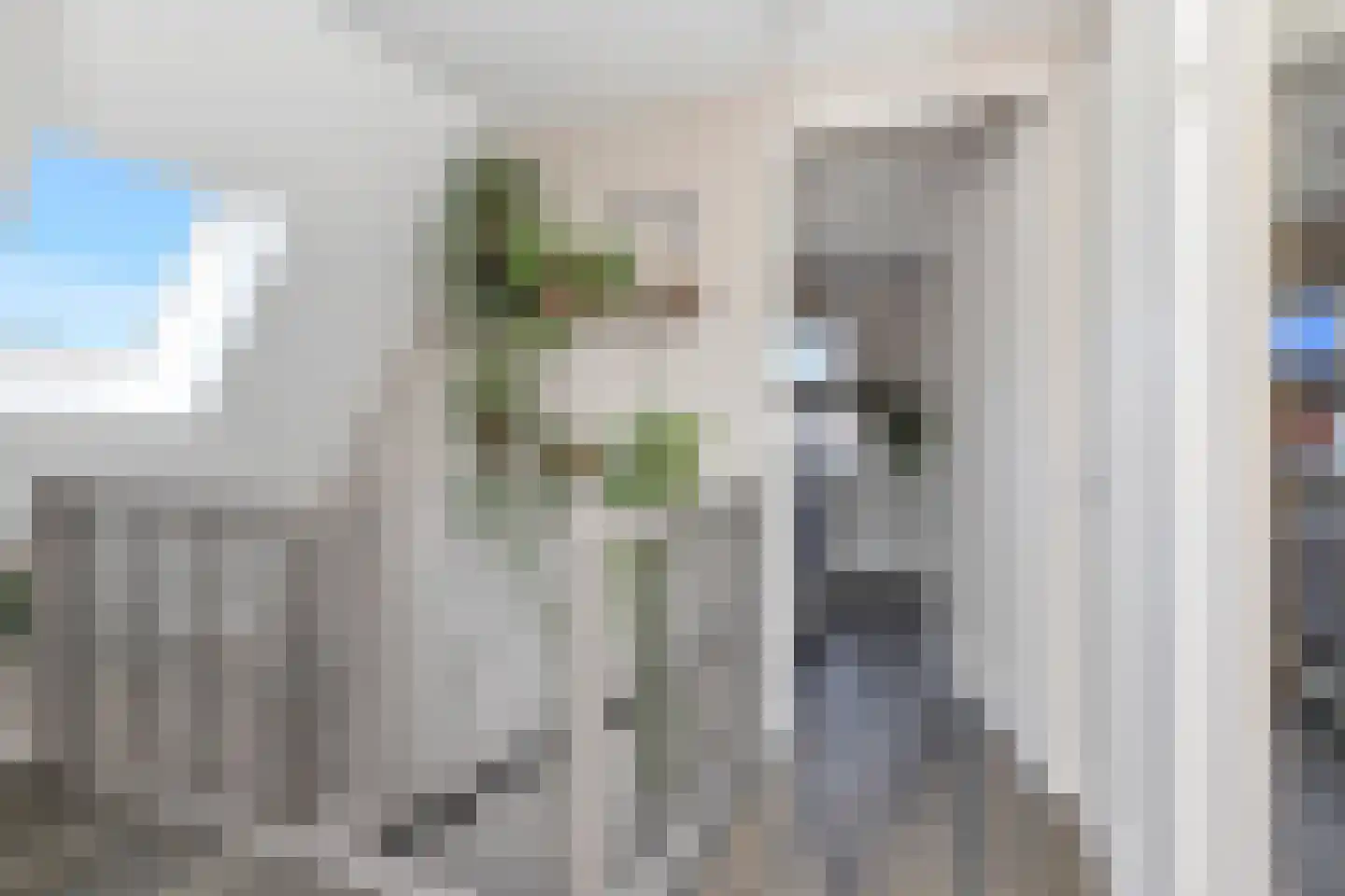 Boterbloem 2 't Veld thumbnail 25