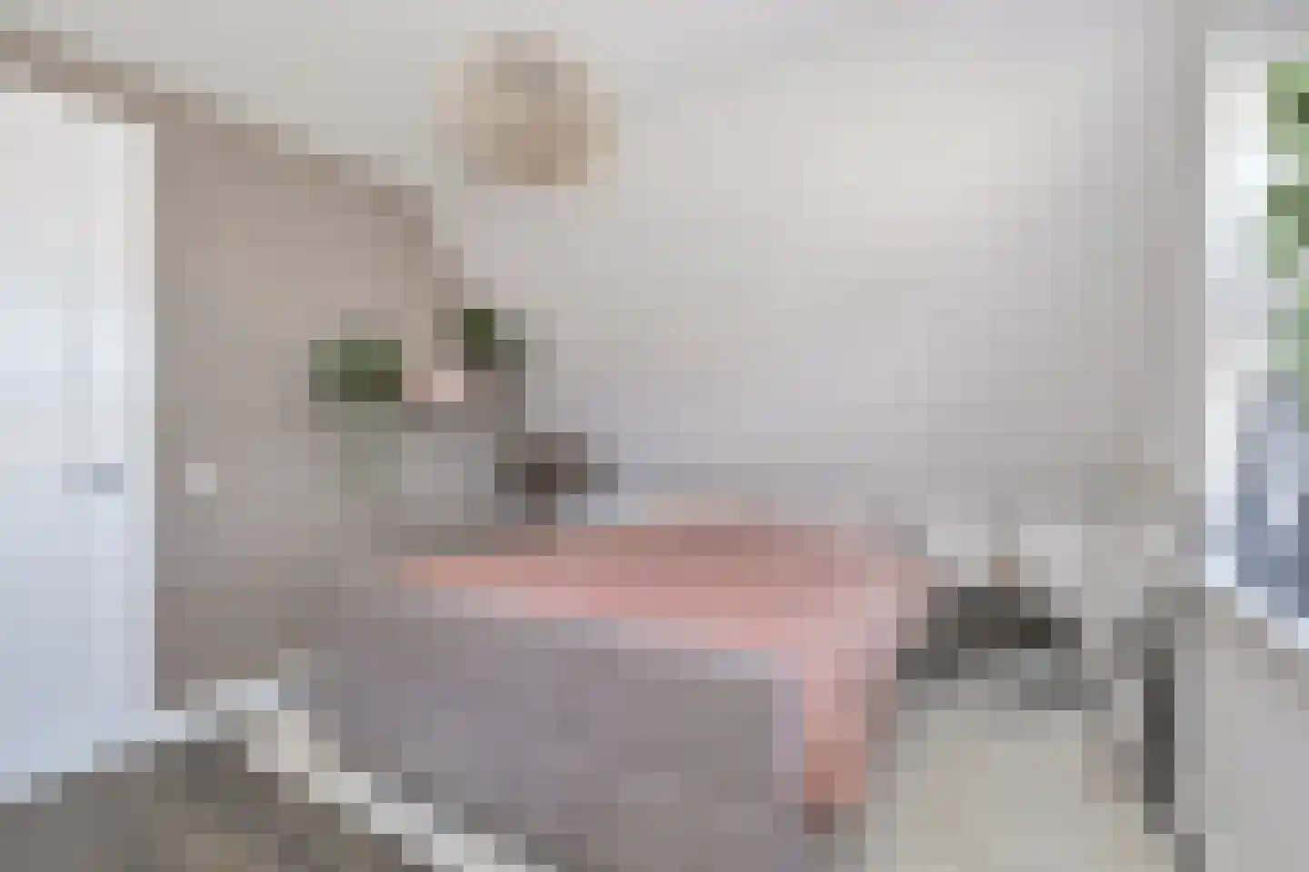 Boterbloem 2 't Veld thumbnail 26