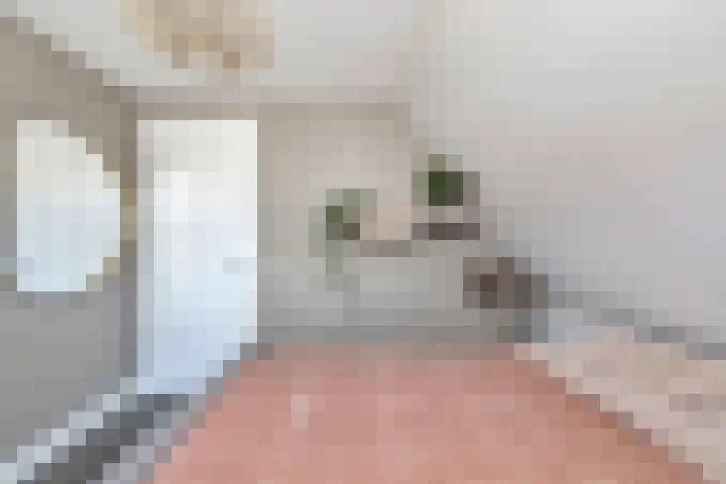Boterbloem 2 't Veld thumbnail 27
