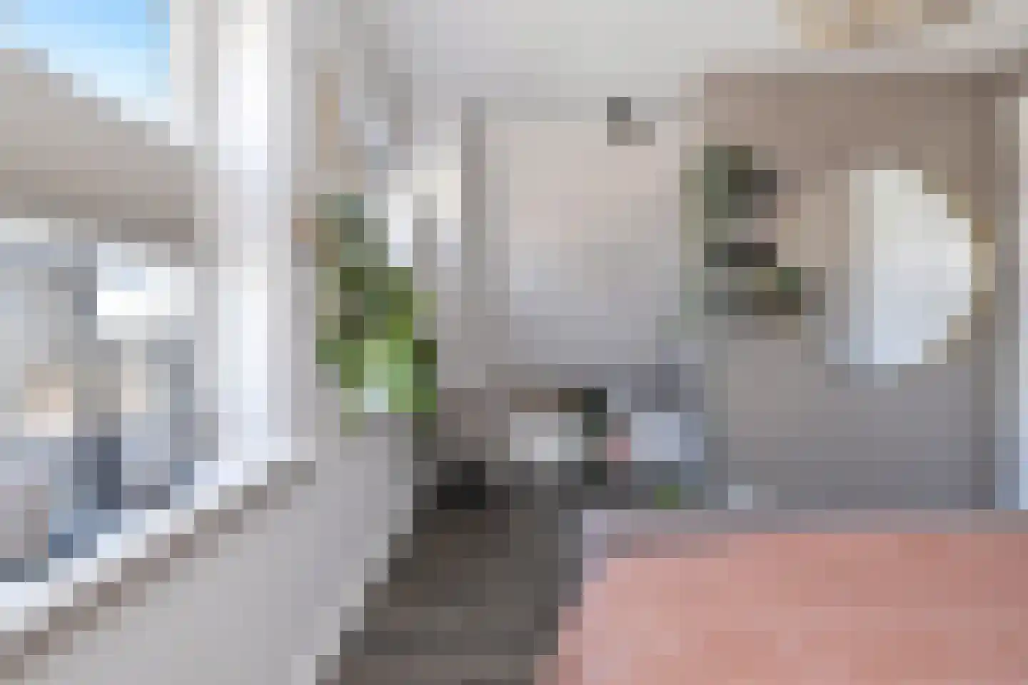 Boterbloem 2 't Veld thumbnail 28
