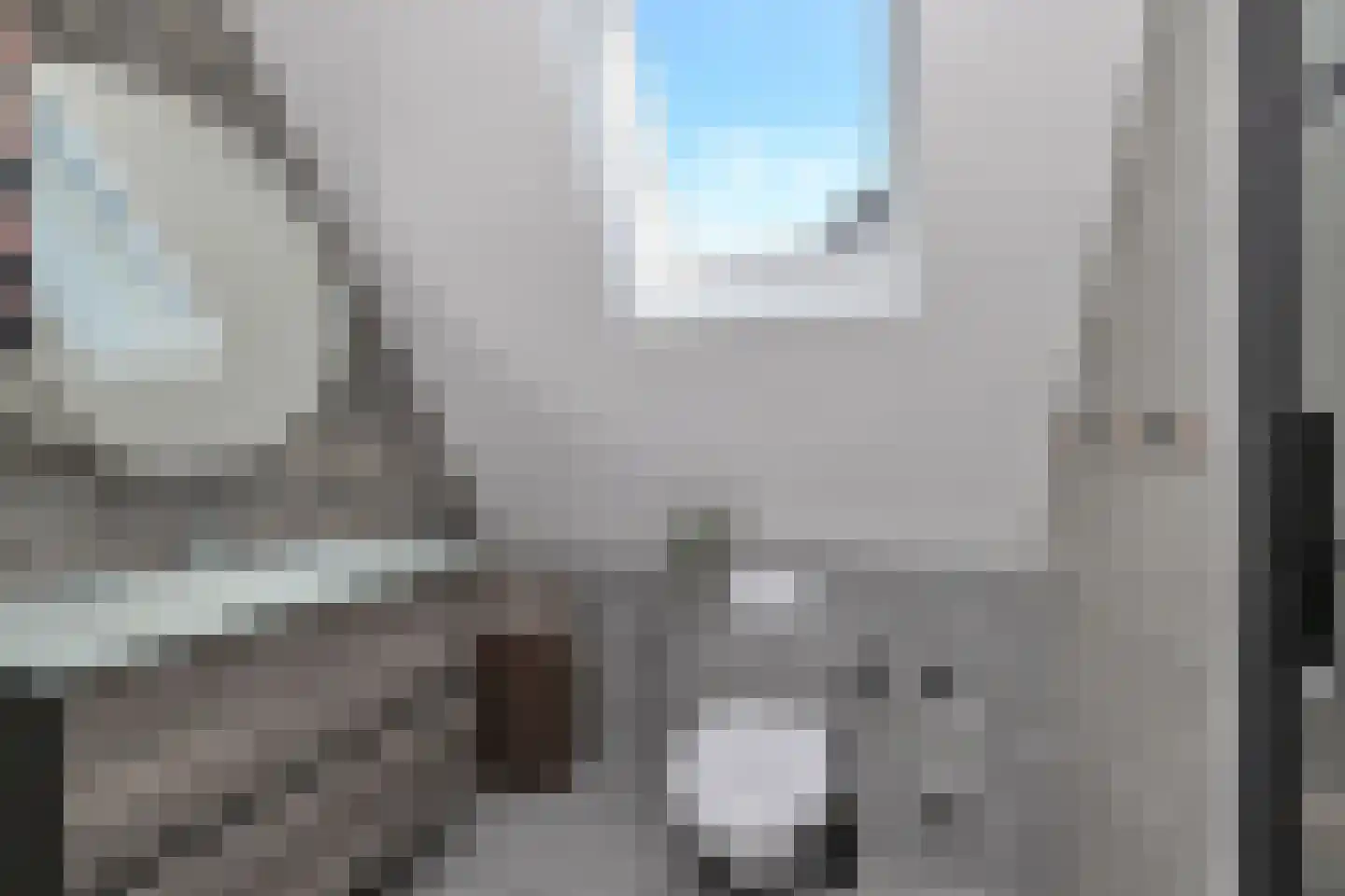 Boterbloem 2 't Veld thumbnail 30