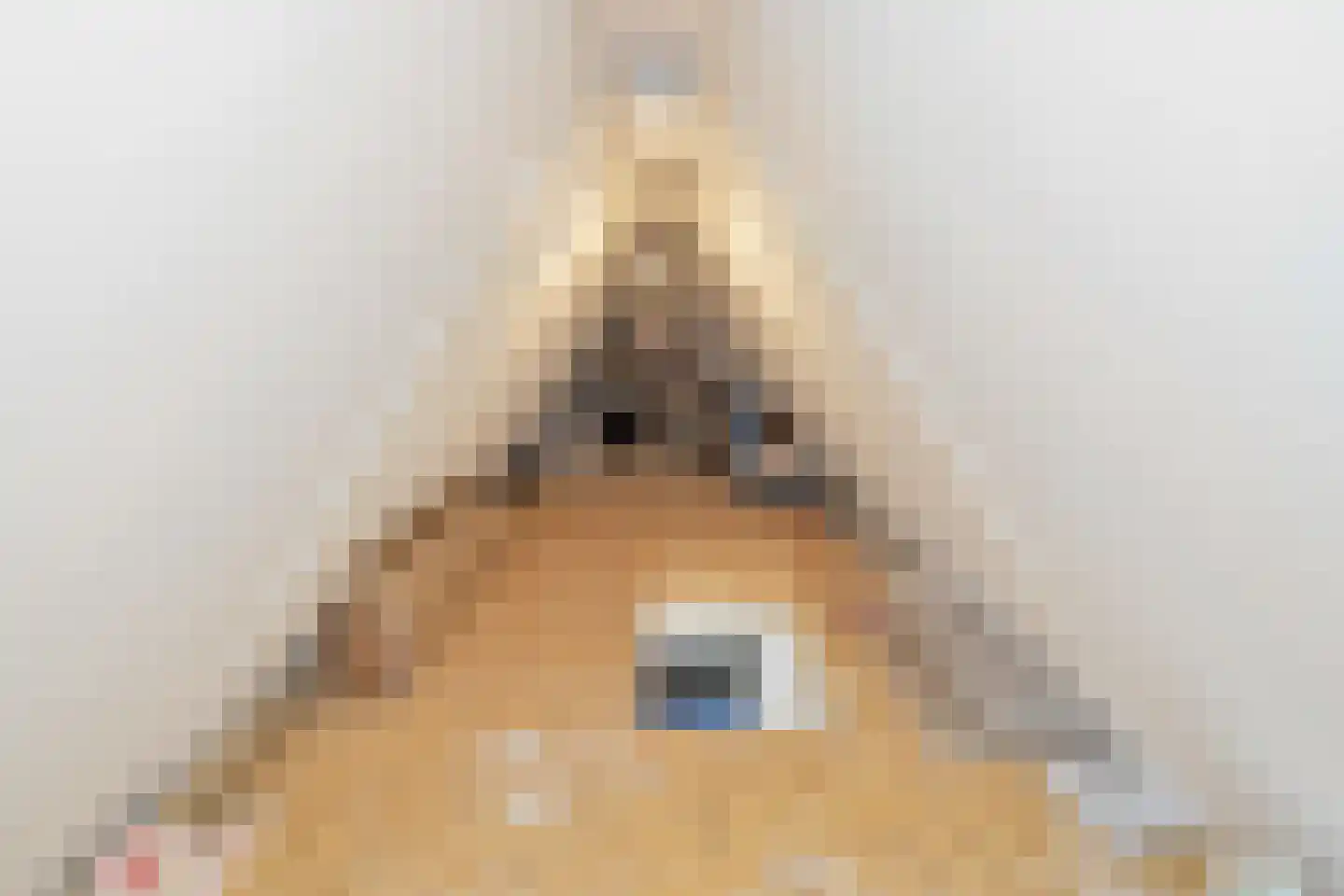 Boterbloem 2 't Veld thumbnail 35