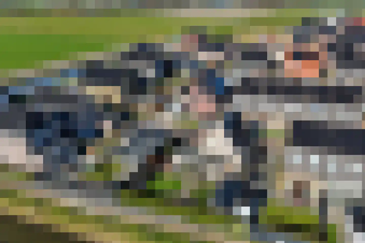 Boterbloem 2 't Veld thumbnail 36