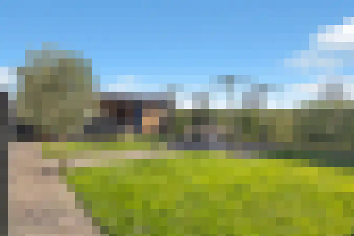Boterbloem 2 't Veld thumbnail 40