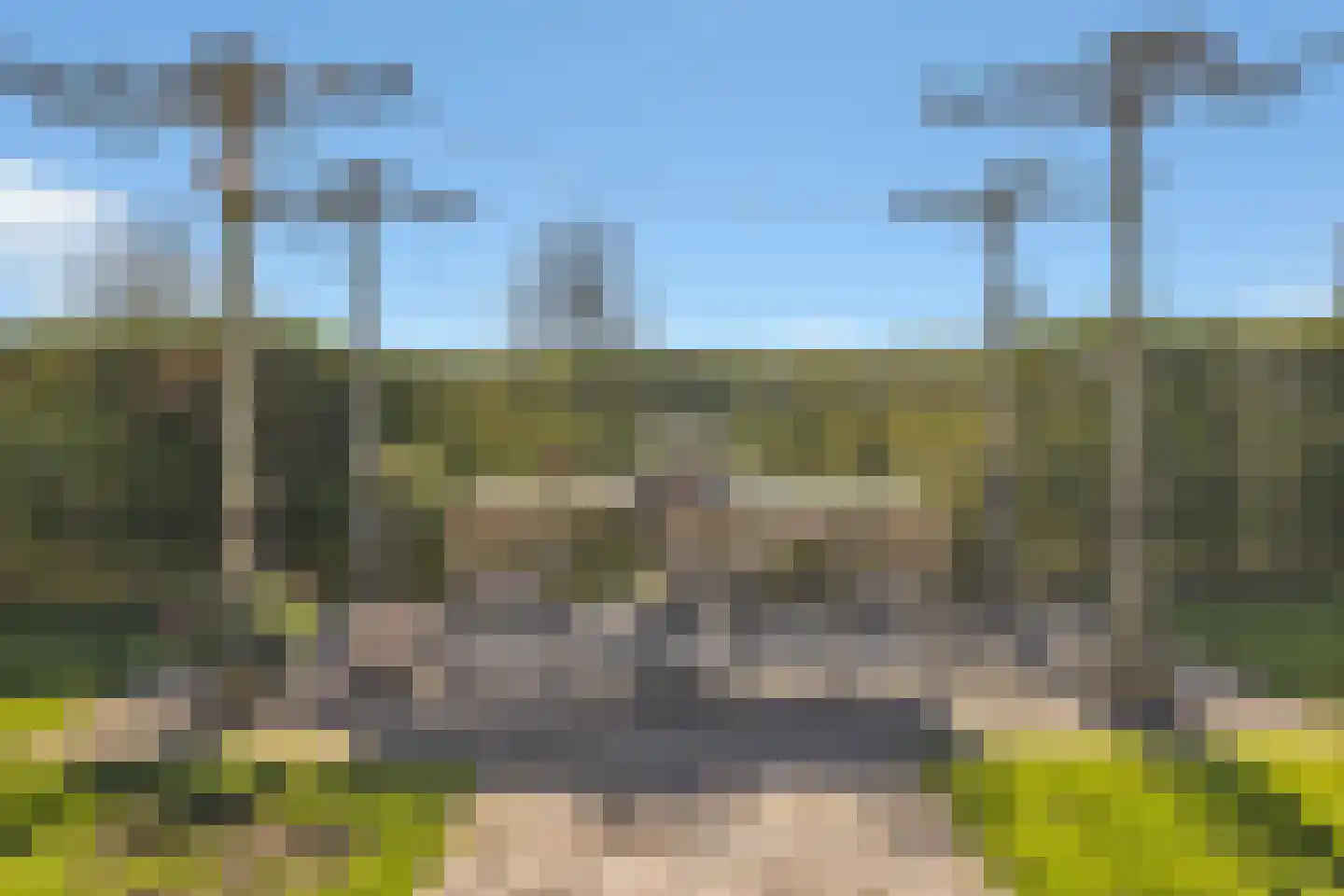 Boterbloem 2 't Veld thumbnail 41