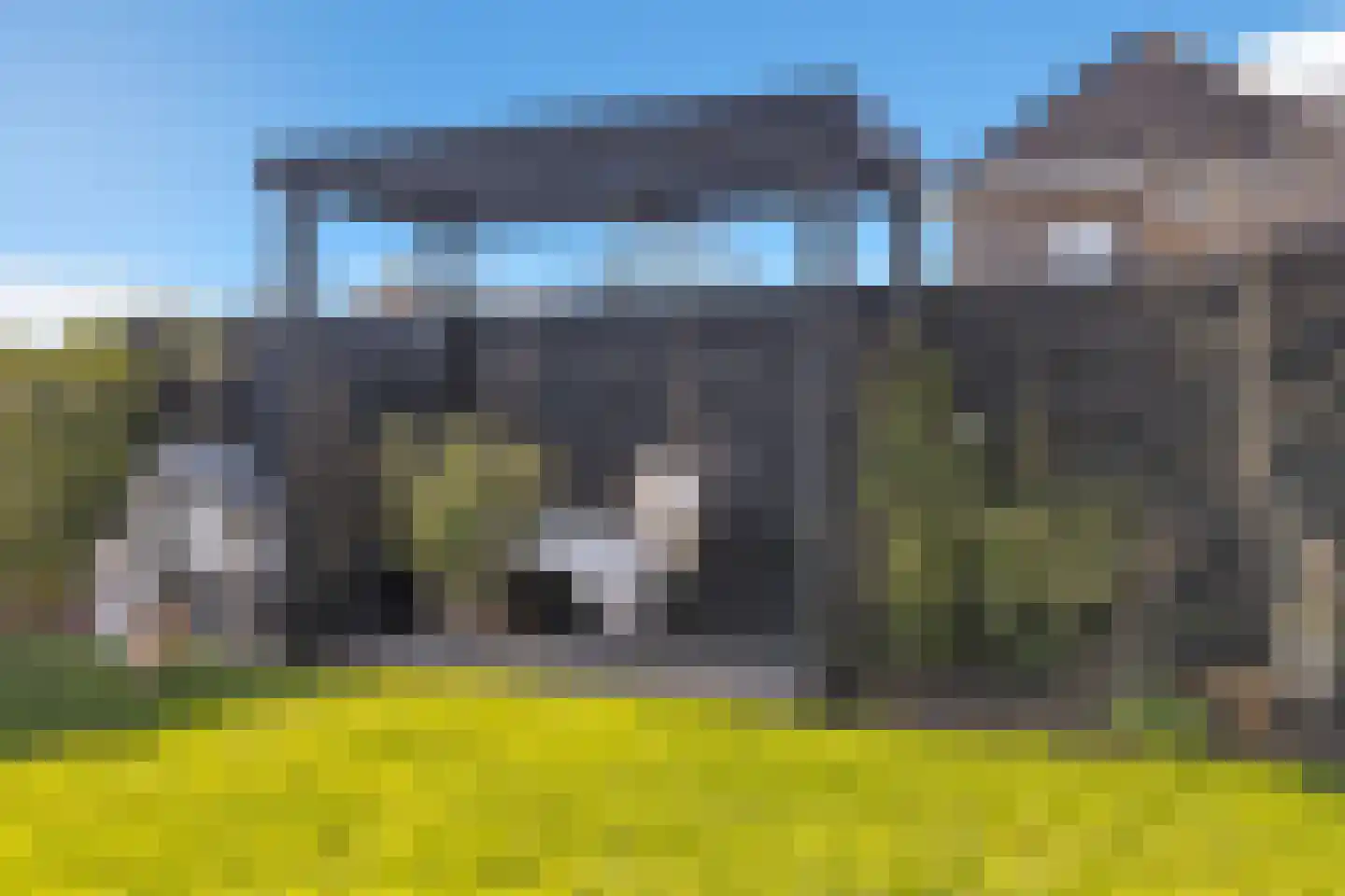 Boterbloem 2 't Veld thumbnail 43