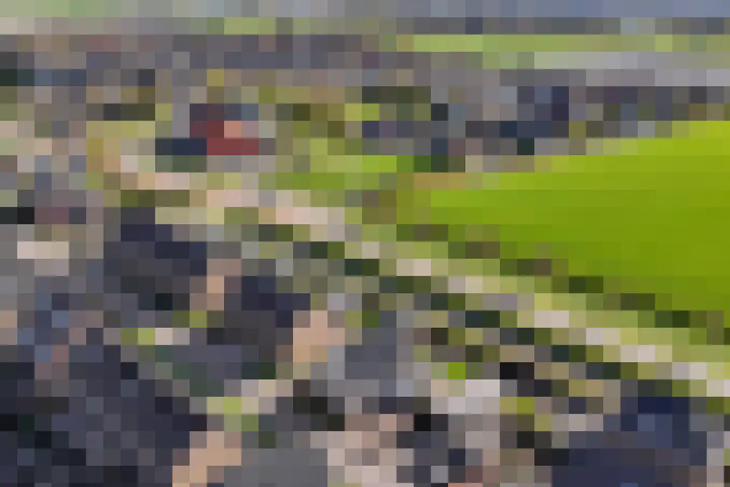 Boterbloem 2 't Veld thumbnail 44