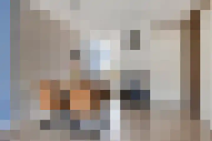 Boterbloem 20 Bodegraven thumbnail 12