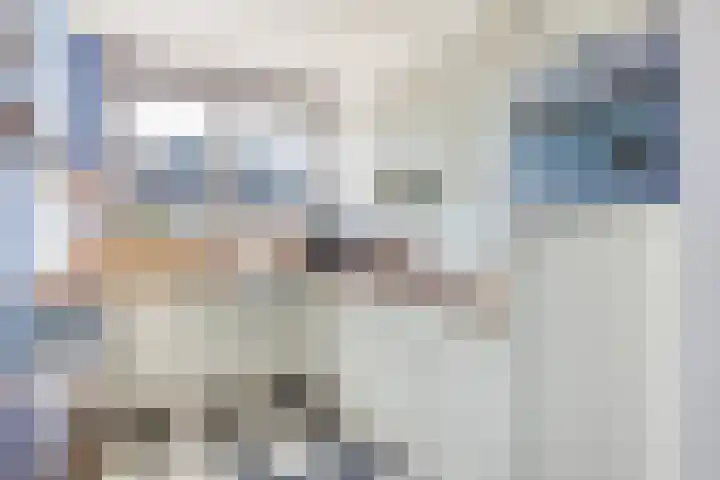 Boterbloem 20 Bodegraven thumbnail 13