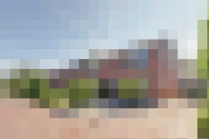 Boterbloem 20 Bodegraven thumbnail 21