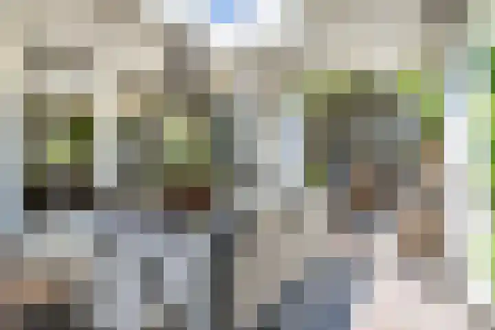 Boterbloem 20 Bodegraven thumbnail 22