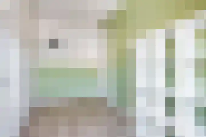 Boterbloem 20 Bodegraven thumbnail 25