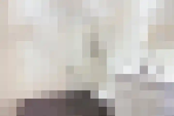 Boterbloem 20 Bodegraven thumbnail 28